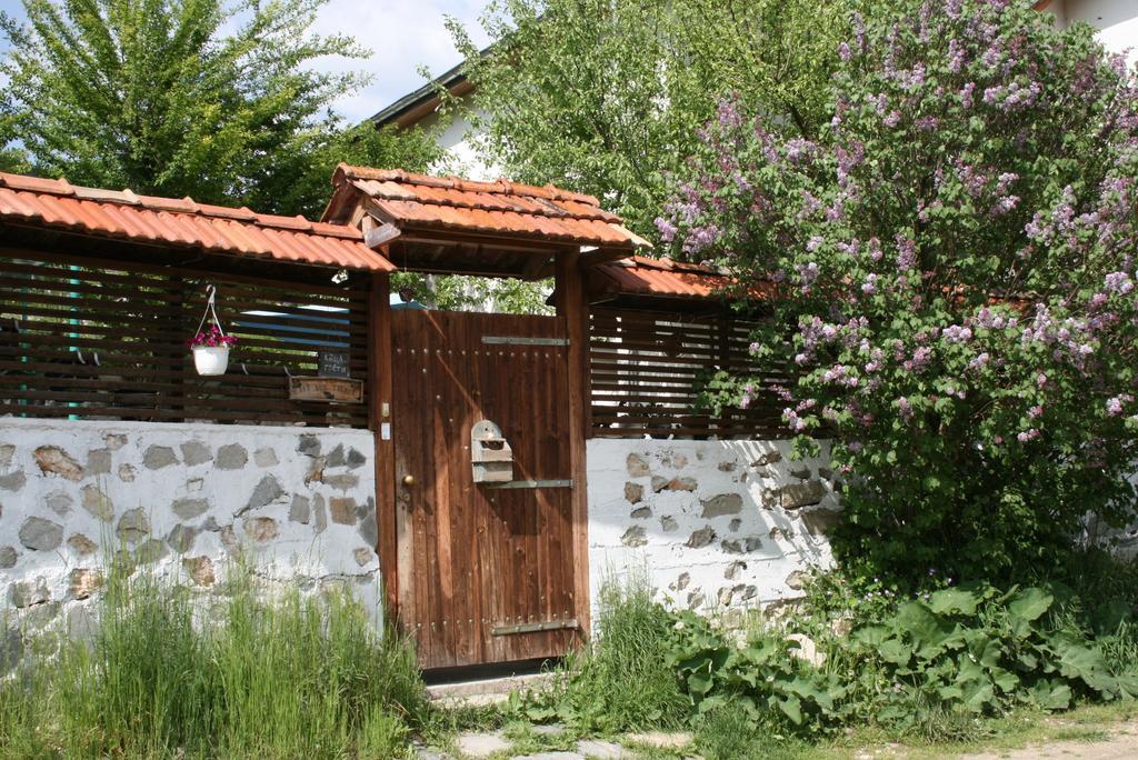 Guest House Kamenik Yagodina Esterno foto