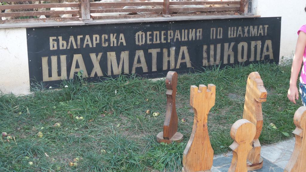 Guest House Kamenik Yagodina Esterno foto