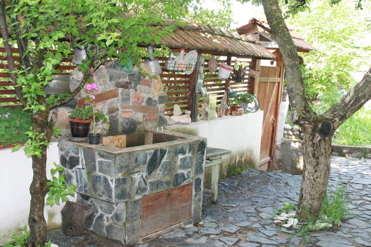 Guest House Kamenik Yagodina Esterno foto